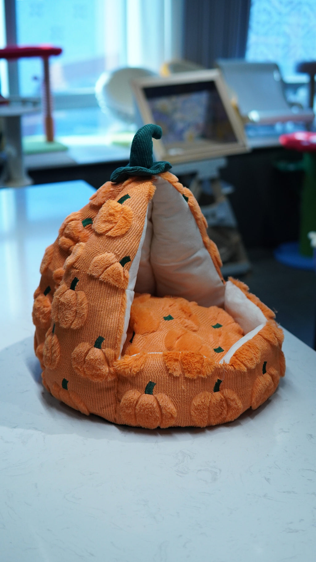Harvest Pumpkin Cat Tent Bed - front open view