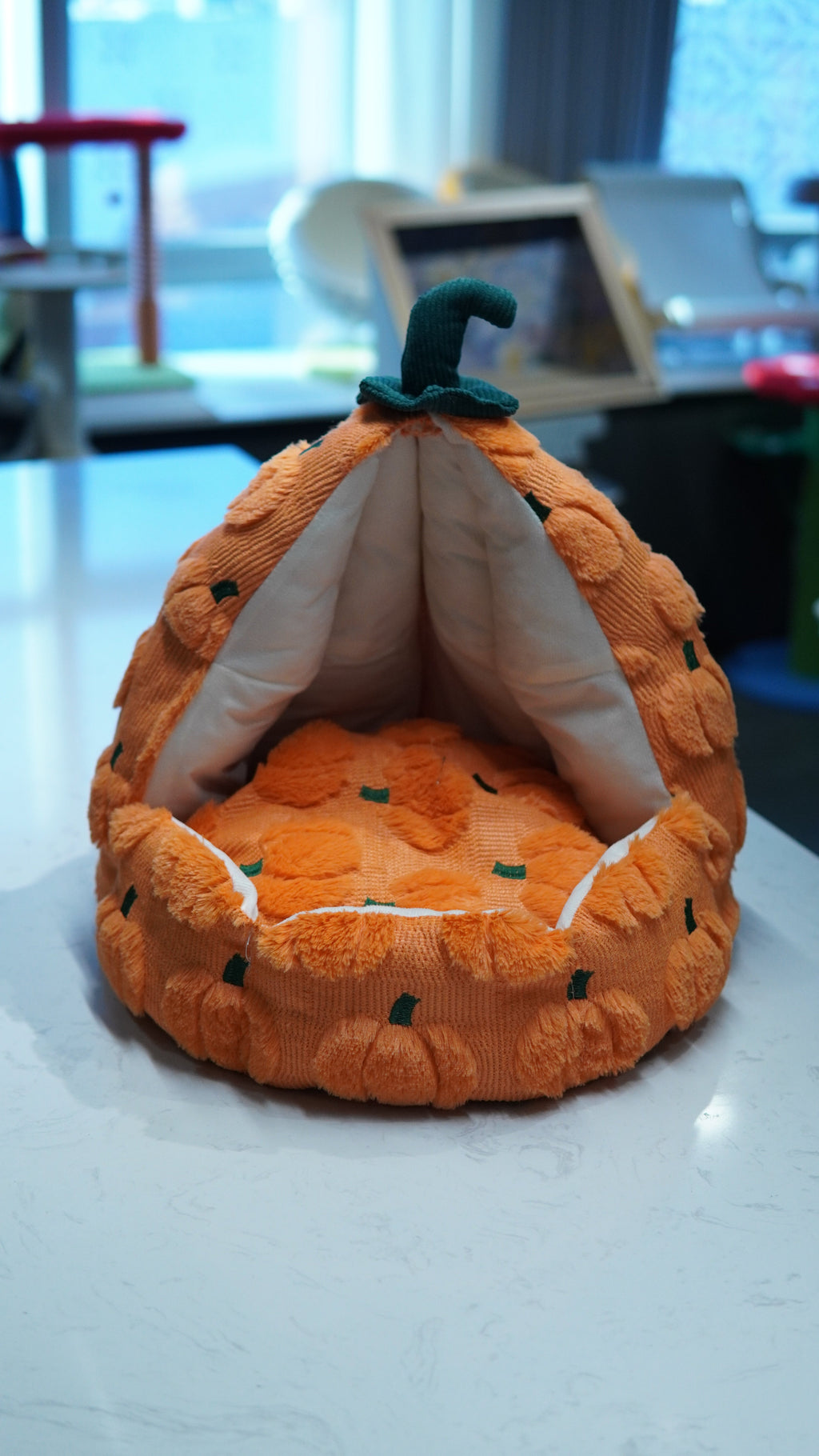 Harvest Pumpkin Cat Tent Bed - side angle view