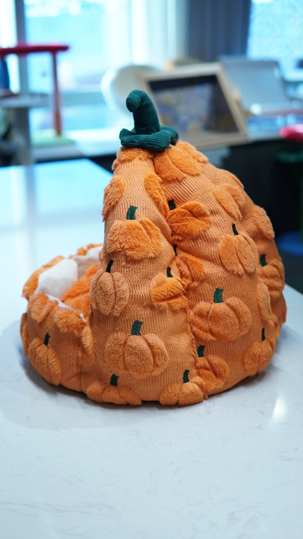 Harvest Pumpkin Cat Tent Bed - front open view