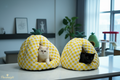 Citrus Dream - both styles together
